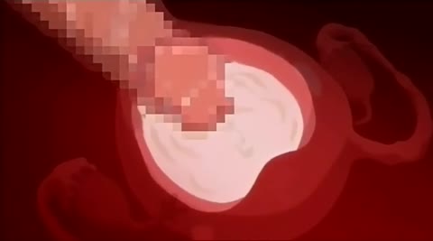 HENTAI IMPREGNATION MASHUP